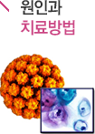 ΰ ġ