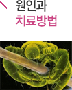 ΰġ