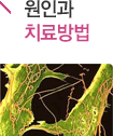 ΰġ